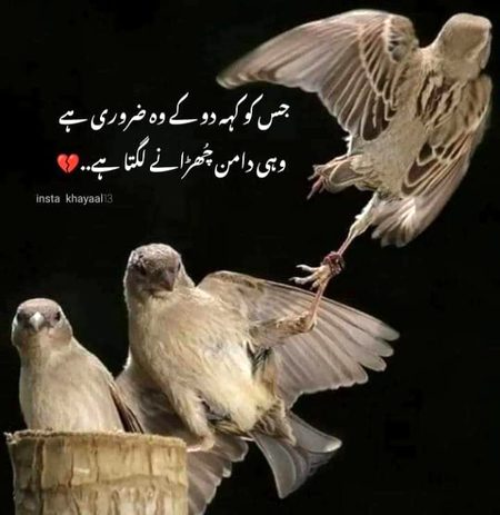 Sad Poetry image
