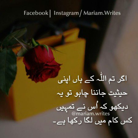 Beshak