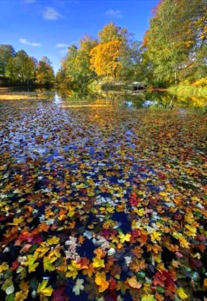 کچھ چیزیں  ٹوٹ کر اور گر کر بھی خوبصورت لگتی ہیں.