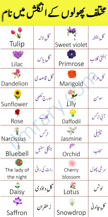 Tips for Students image