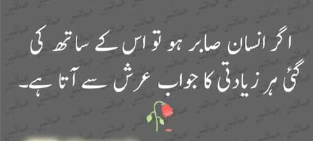Bilkul✌