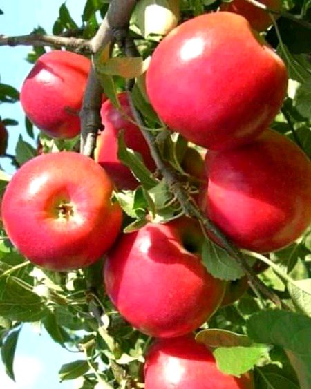 Beautiful Nature image