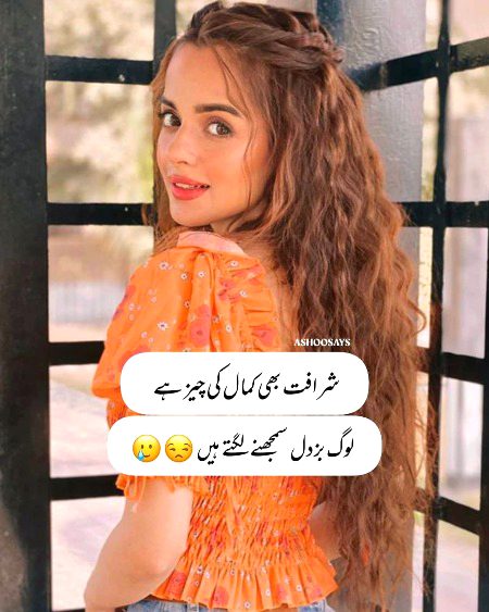 Attitude Quotes image