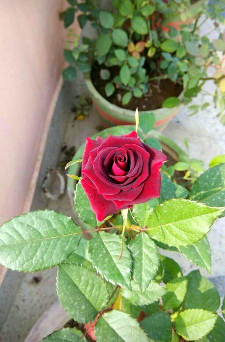 Beautiful Nature image