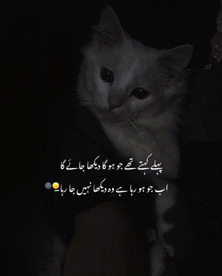 Right...😾