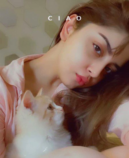 Pakistani Celebs image