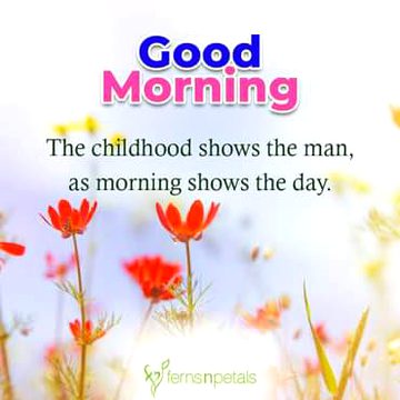 Motivational Quotes image