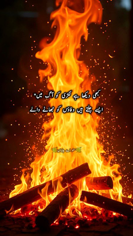 بے ضمیر۔ احسان فراموش۔