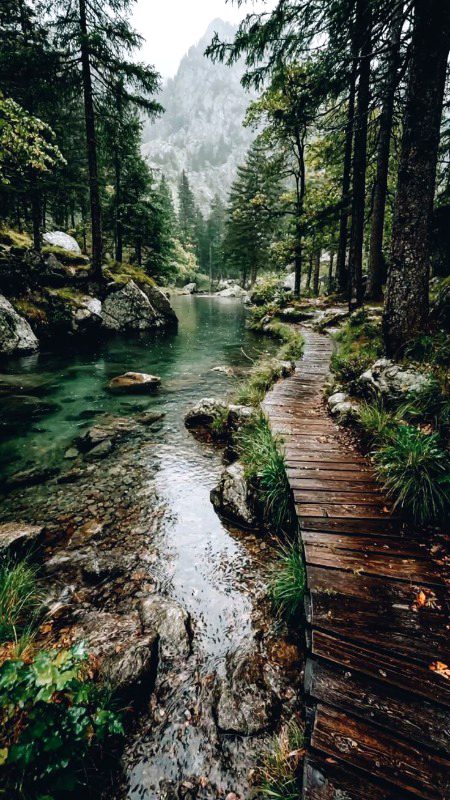 Beautiful Nature image