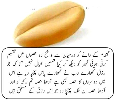 اللّٰہ تعالیٰ جو رزق تم کو دیتا ہے ان میں دوسروں کا حصہ بھی شامل ہوتا ہے