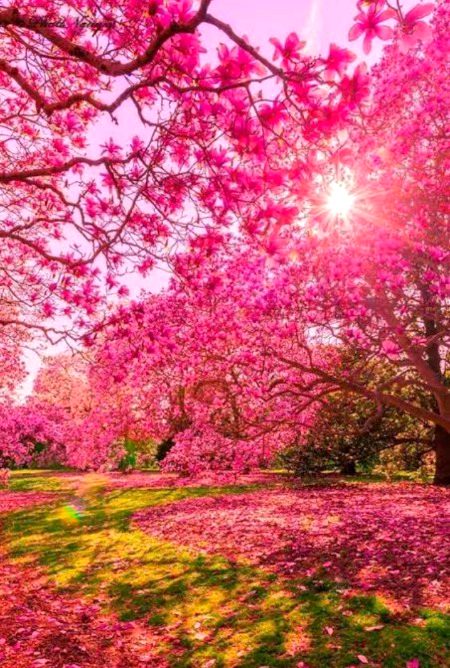Beautiful nature💗