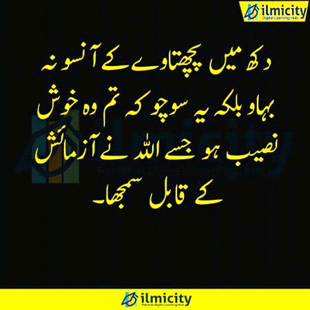 Islamic Quotes image