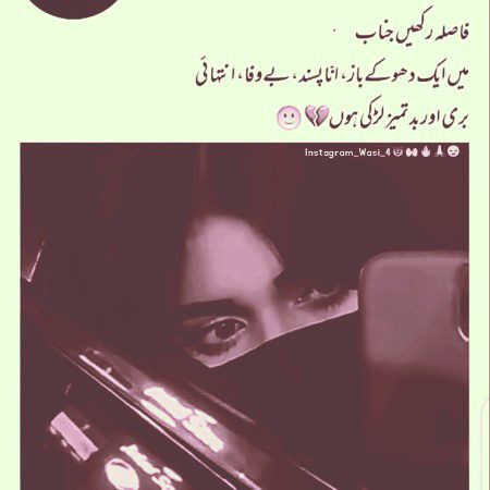 Attitude Quotes image