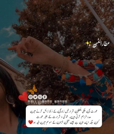 Romantic Novels image