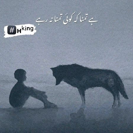 ٹوٹا ہے آج پھر کوئی ماضی کا آئینہ
حدِ نگاہ تک کئی چہرے بکھر گئے
#⃣н