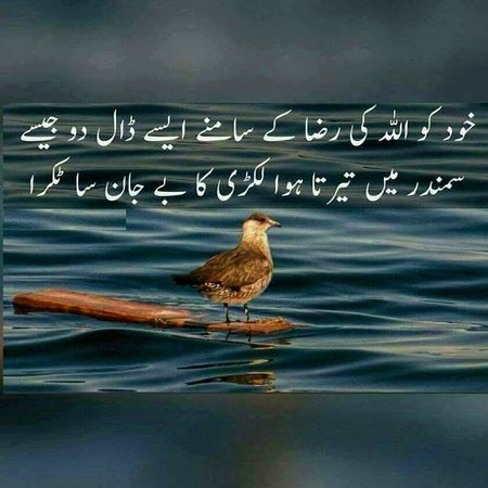 Islamic Quotes image