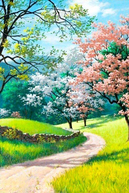 Beautiful nature