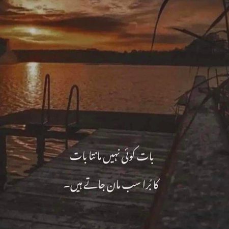 🖤💜❤️💜🖤💜❤️🖤💜❤️