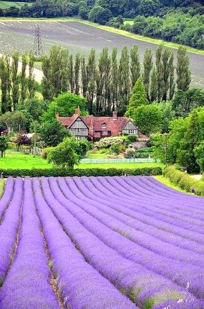 Beautiful Nature image