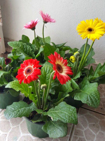 Beautiful Nature image