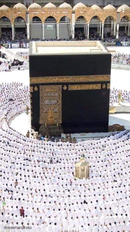 Beautiful Structures image