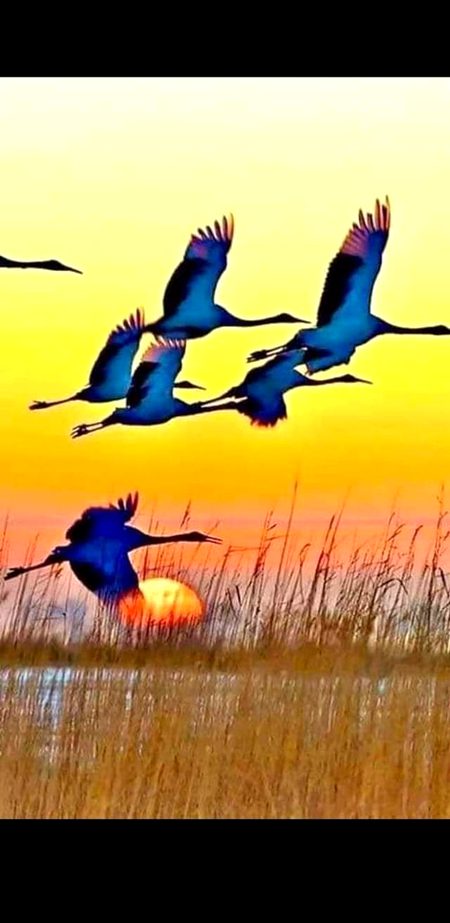 Beautiful Nature image