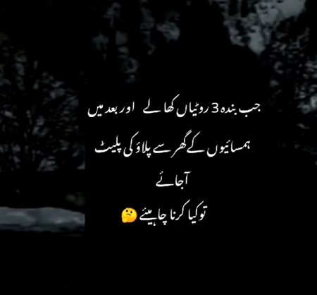 Apni apni raye
