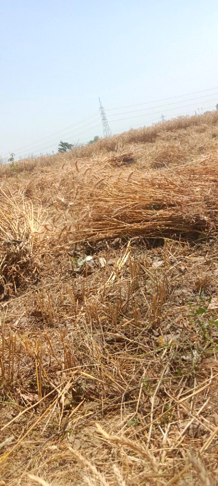 Beautiful Nature image