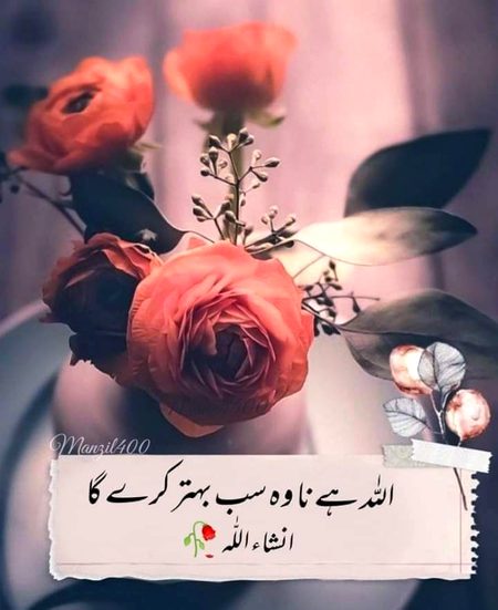 Islamic Quotes image