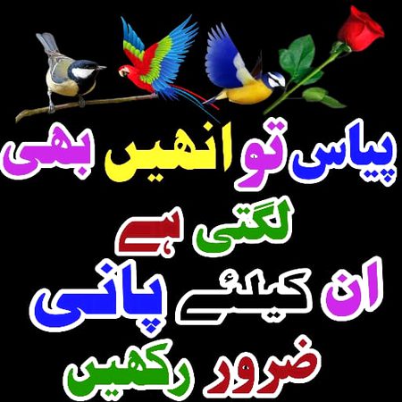 Aslamualiakum
