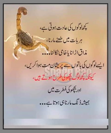 بلکل 🌹🌹🍀🌹🍀