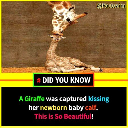 Interesting Posts image