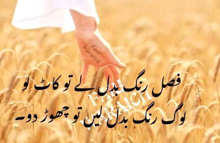 Attitude Poetry image