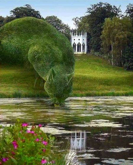 Beautiful Nature image