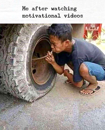 Memes & Satire image