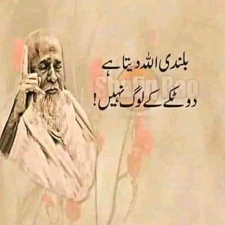 Islamic Quotes image