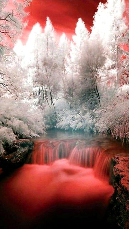 Beautiful nature