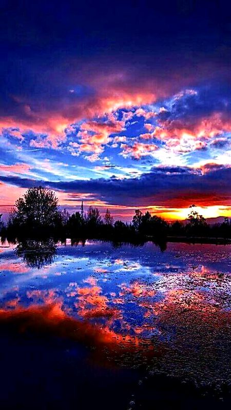 Beautiful Nature image