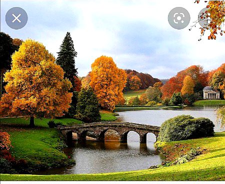 Beautiful Nature image