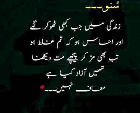مجھکو معلوم نہیں انسان کی تعری  مگر
میری نظر میں وہ اچھا ہے جو کسی کو دُکھ