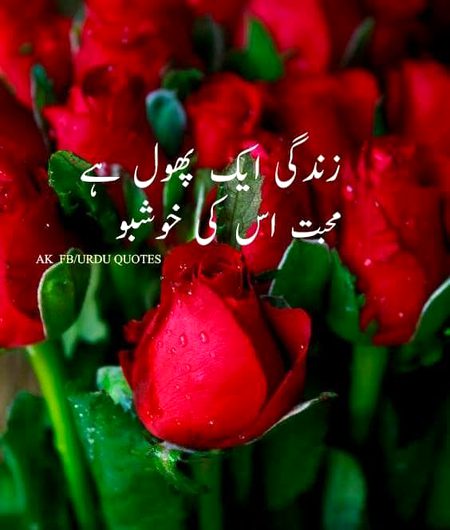 Romantic Poetry image