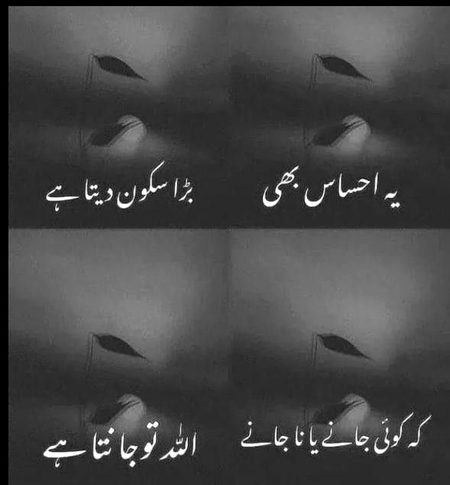 Islamic Quotes image