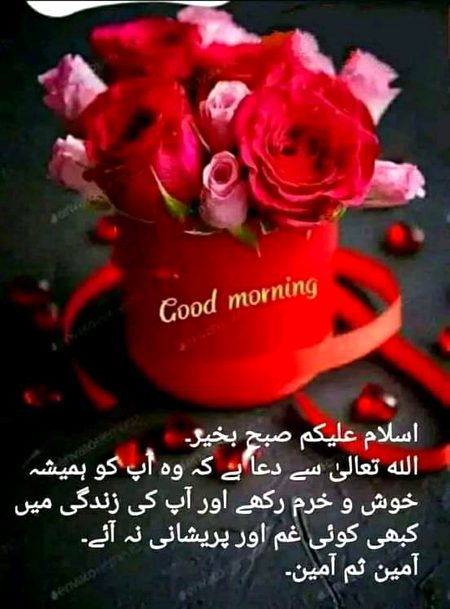 Ameen ❤have a nice and shiny day 🍭🍭