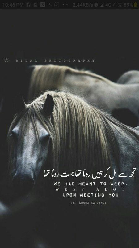 Sad Poetry image