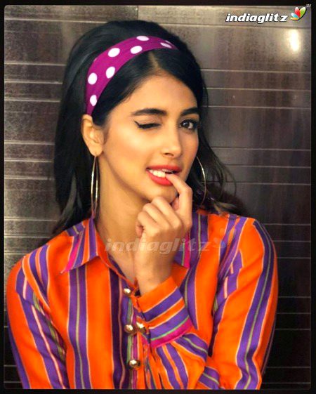 Indian Celebs image