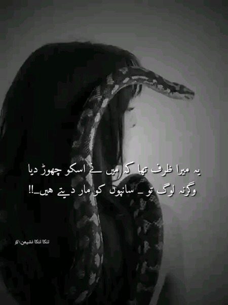 Attitude Poetry image