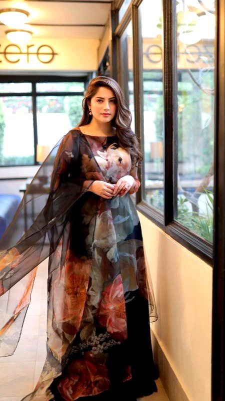 Pakistani Celebs image