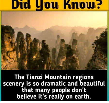 Interesting Posts image