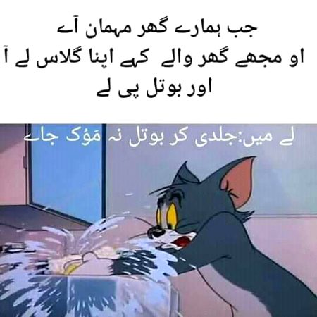 Memes & Satire image