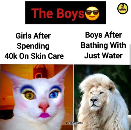 Girls vs boys